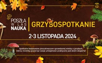 Grzybobranie na Przysłopiu