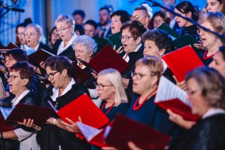 Tajemny światła blask