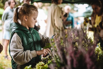 Dożynki 2025 fot. Daniel Franek