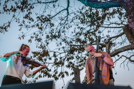 gwiazdy, kosmosy, perseidy