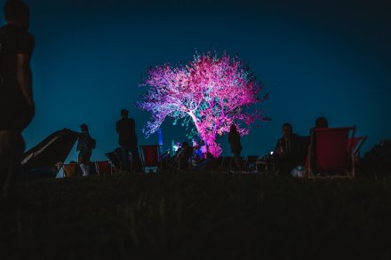 gwiazdy, kosmosy, perseidy