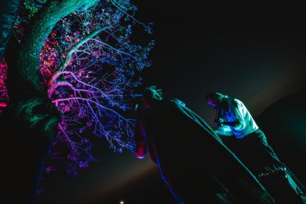 gwiazdy, kosmosy, perseidy