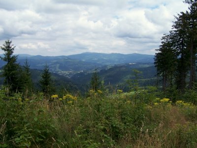 Widok na Beskidy