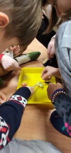 Ferie zimowe w Domu Kultury 2026