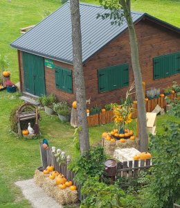 farma dyniowa w Agroturystyce u Gazdy