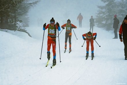 VI Bieg O Puchar Wisły