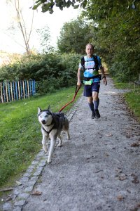 Dogrekking w Wiśle