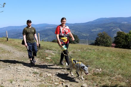 Dogrekking w Wiśle