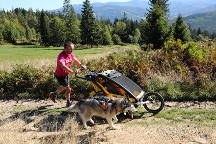 Dogrekking w Wiśle