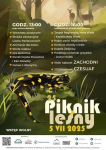 Piknik leśny