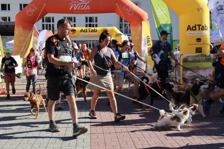 Mistrzostwa Polski w Dogtrekkingu Wisła 2025