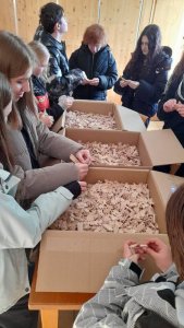 Jesień w SP5 Jawornik