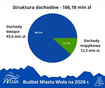 struktura dochodów