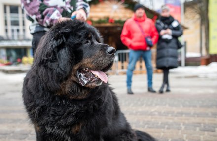 Wisła zagrała razem podczas 34. Finału WOŚP