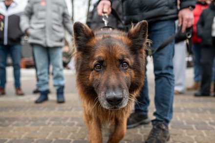 Wisła zagrała razem podczas 34. Finału WOŚP