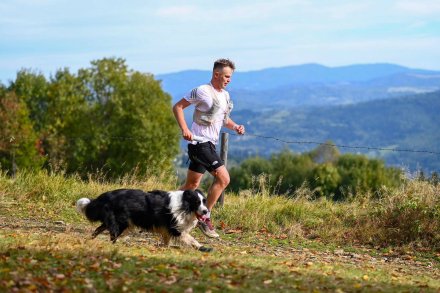 XVII Mistrzostwa Polski w Dogtrekkingu