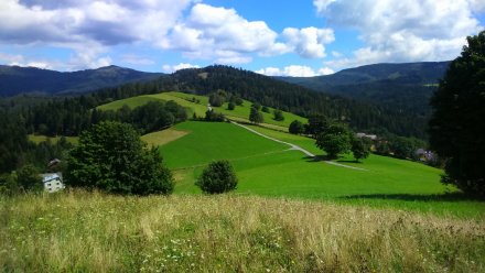 Widok z Cieńkowa na góry