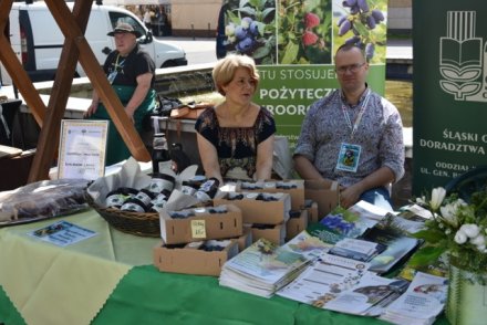 Dni Produktu Regionalnego w Miasto Wisła.