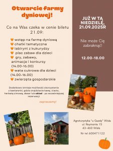 farma dyniowa w Agroturystyce u Gazdy