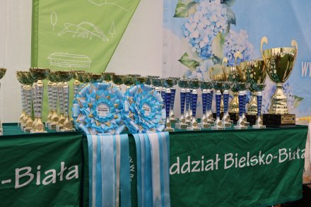 V Międzynarodowa Wystawa Psów Rasowych