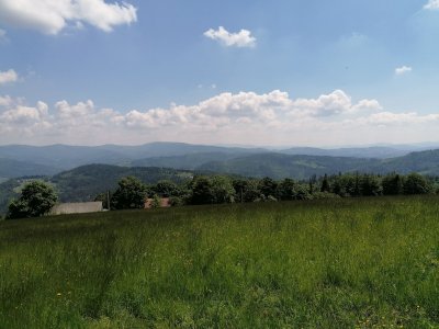 XI Międzynarodowe Spotkanie Cieślarów