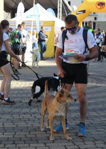 Dogrekking w Wiśle