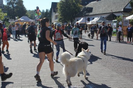 Dogrekking w Wiśle