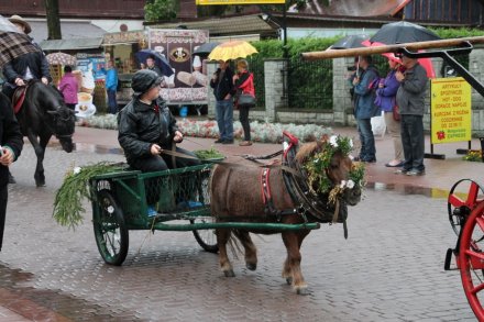 Pochód dożynkowy w Wiśle - chłopiec jadący z kucykiem