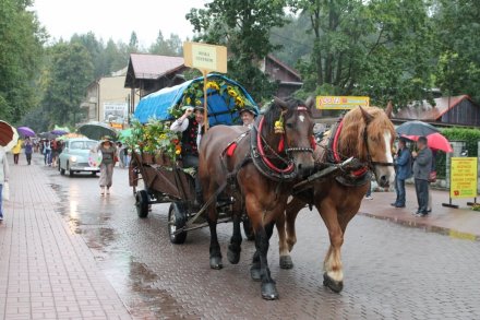 Pochód dożynkowy w Wiśle - zaprzęg konny