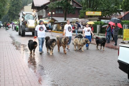 Pochód dożynkowy w Wiśle