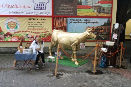 Miejsce na "dojenie" krowy