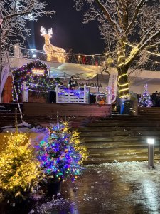 Otwarcie Lodowiska i Parku Zimowego