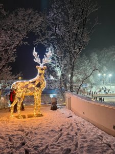Otwarcie Lodowiska i Parku