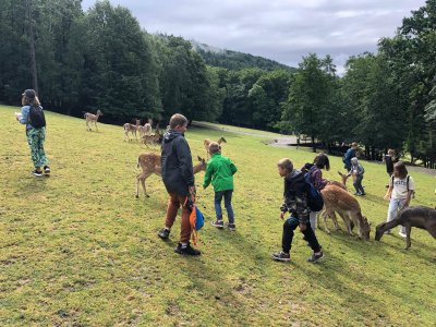 Zajęcia wakacyjne w SP2