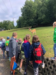 Zajęcia wakacyjne w SP2