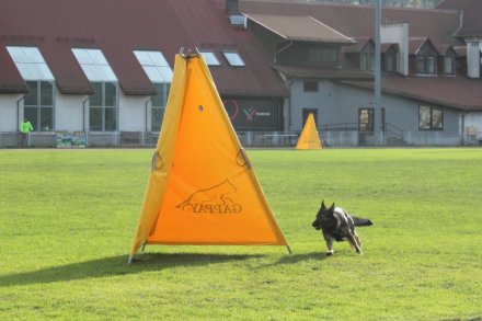 Fragment konkurencji dla zawodników i psów