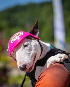 Śląskie Szutry Wisła 2025