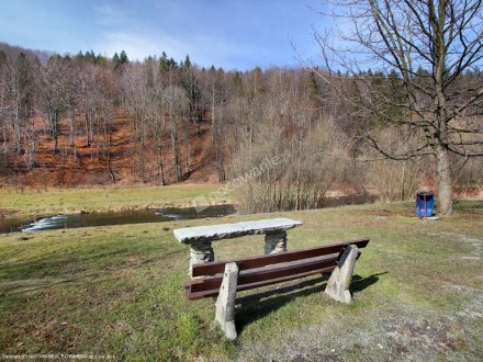 widok na rzekę