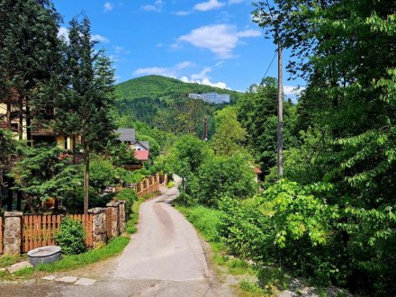 Domek Miodu Mi Daj