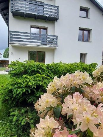 Apartamenty Montania