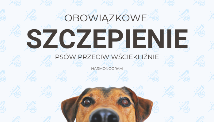 Wścieklizna_2025