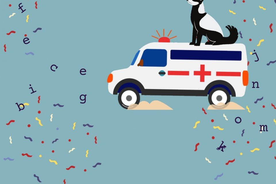 The hospital dog