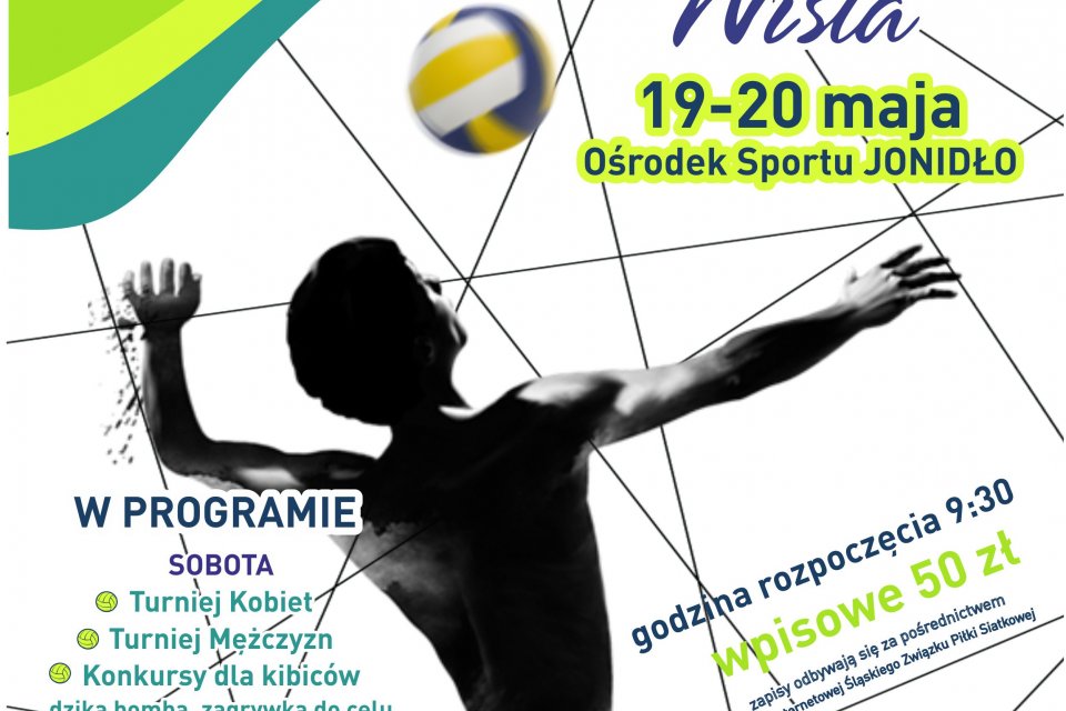 Plakat promujący imprezę Beskidzka Plaża