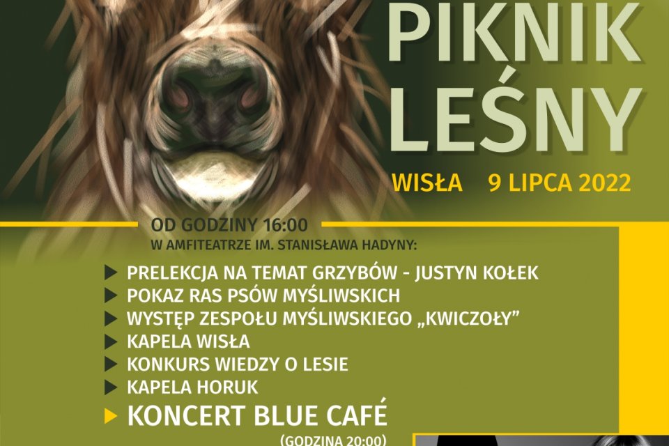 Plakat - program Pikniku Leśnego