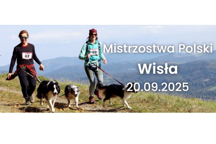 Mistrzostwa Polski