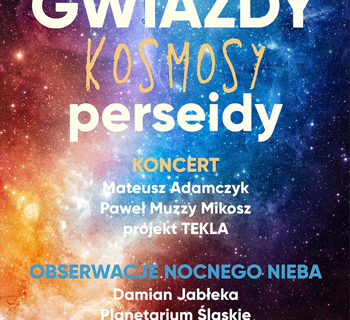 gwiazdy, kosmosy, perseidy