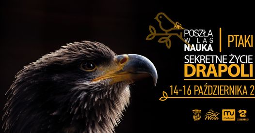 sekretne życie drapoli