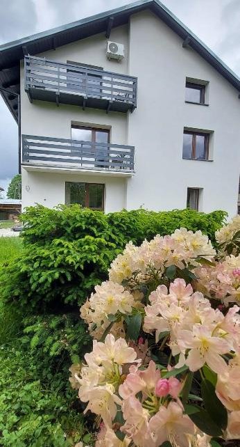 Apartamenty Montania