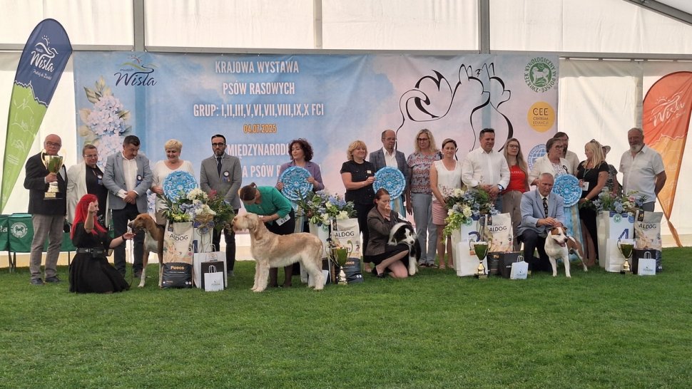 V Międzynarodowa Wystawa Psów Rasowych